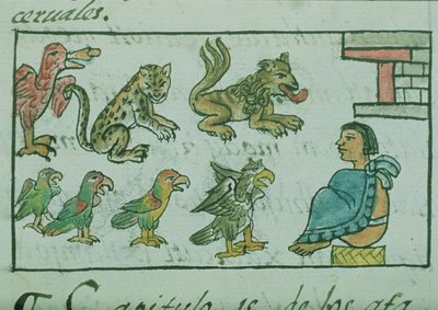 Ms Palat. 218-220 Boek IX Dieren van de Azteekse Keizer, uit de 